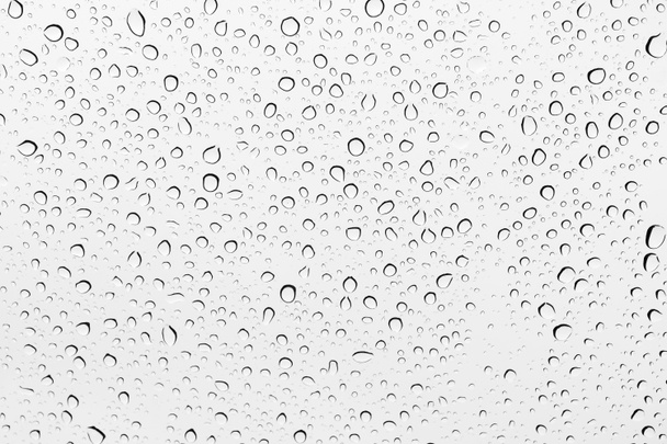 Water drops background - Photo, Image