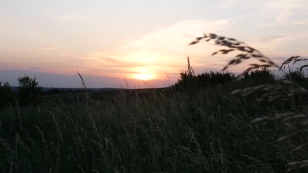 Kaunis auringonlasku niityllä. Auringonlaskun maaseutu
 - Materiaali, video