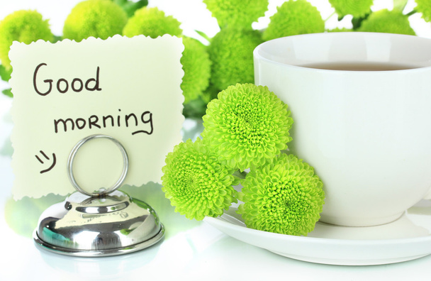 prachtige groene chrysant met kopje thee geïsoleerd op wit - Foto, afbeelding
