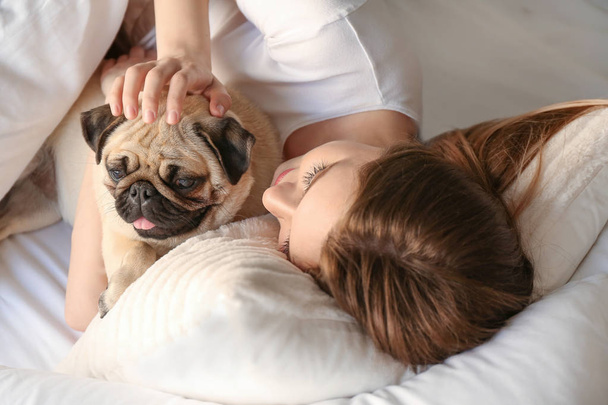 Mattina di bella giovane donna con simpatico cane carlino in camera da letto
 - Foto, immagini