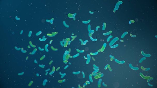 Rod-alakú baktériumok, baktériumok a belekben élő szervezet szükséges eleme vagy kórokozóügynök a fertőzések és gyulladások. E. coli. A vírus egy baktérium, Enterobacteria. 3D illusztráció - Fotó, kép