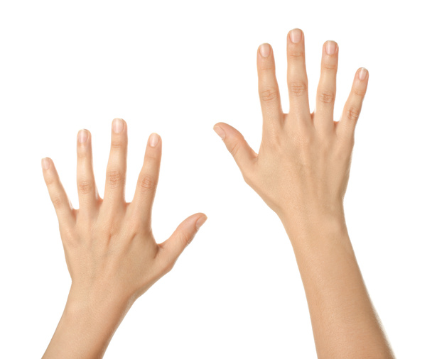 Belas mãos femininas no fundo branco
 - Foto, Imagem