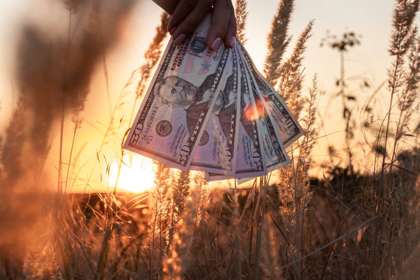 Pénz a kéz között Spikelets a gyönyörű naplemente háttér, a mezőgazdasági pénzügyi gazdaság fogalma. - Fotó, kép