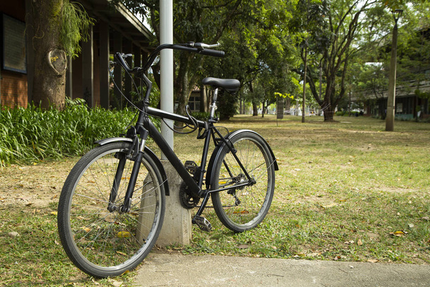 Городской велосипед припаркован у университета
 - Фото, изображение