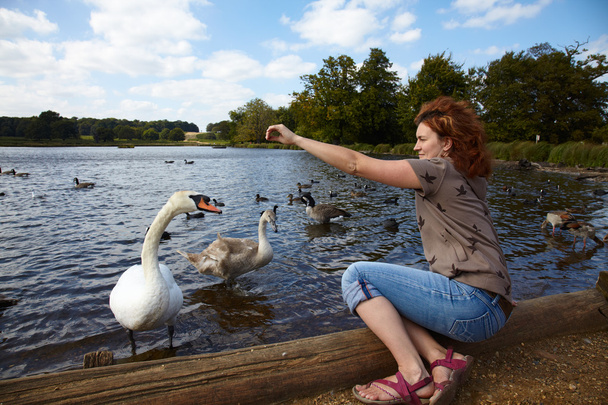 dziewczyna karmienia ptaków w jeziorze - Zdjęcie, obraz