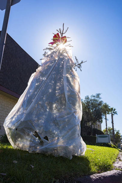 Çöpe atılmış Noel ağacı  - Fotoğraf, Görsel