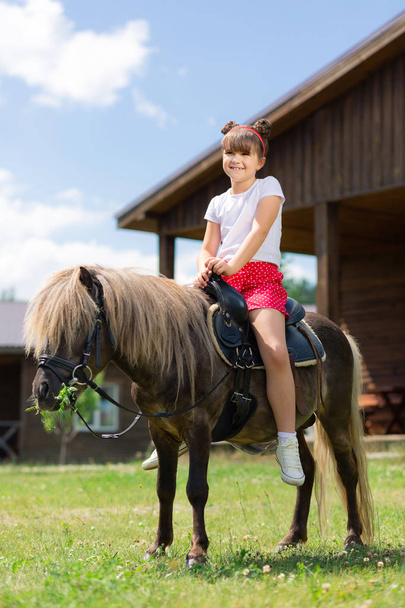 Small girl with cute hairstyle sitting on the horse and smiling - Φωτογραφία, εικόνα