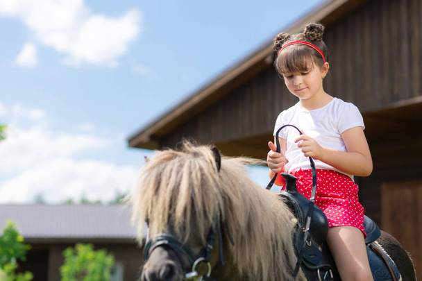 Little positive girl trying riding a horse - Φωτογραφία, εικόνα