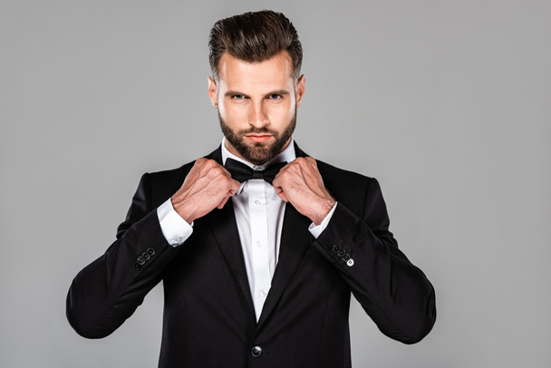 elegant confident man in black suit fixing bow tie isolated on grey - Foto, imagen
