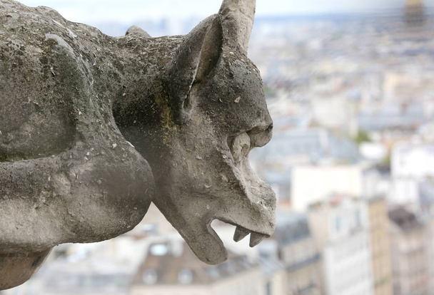 Одна большая горгулья Парижской Богоматери
 - Фото, изображение