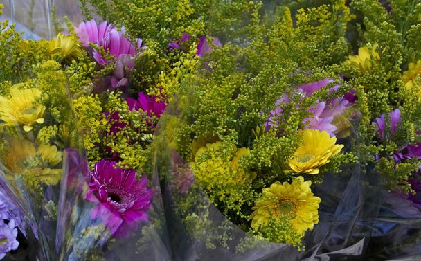 Affichage coloré de fleurs coupées, y compris Gerbera dans un marché aux fleurs
 - Photo, image