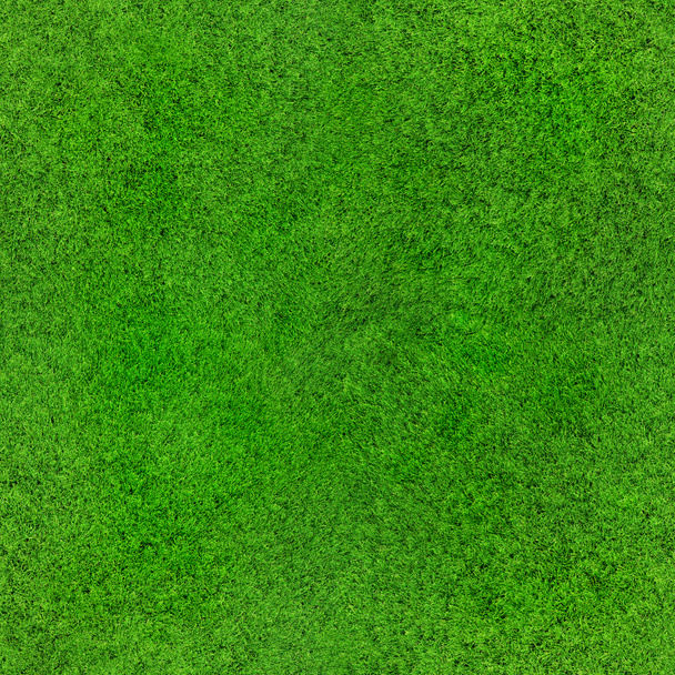 シームレスな草のテクスチャ - 写真・画像
