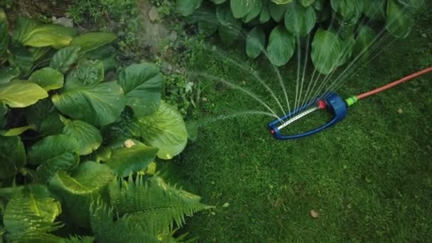 Rozstřikovač trávníku rozstřikuje vodu po zelené trávě. - Záběry, video