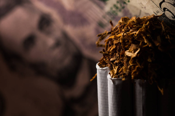 Numerous isolated tobacco cigarettes with shredded tobacco on top of them on a background with a five dollar bill. Tobacco can cause diseases. - Photo, Image