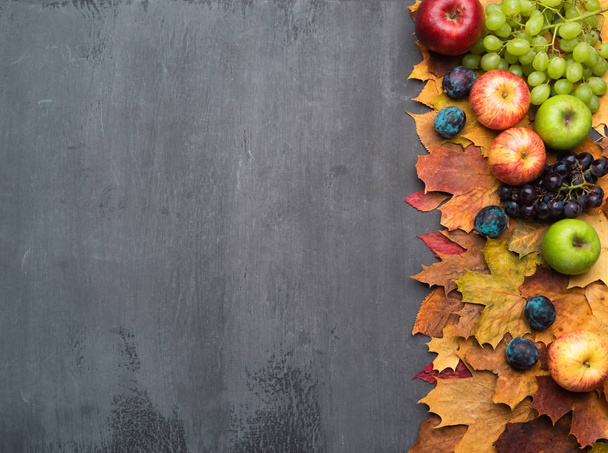 Seasonal autumn background. Frame of colorful maple leaves, grapes, peaches, nectarines, plums and apples over grey texture. - Foto, afbeelding