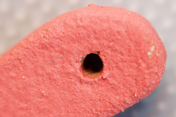 clay heart with red engobe in the drying process. macro photography. - Foto, imagen