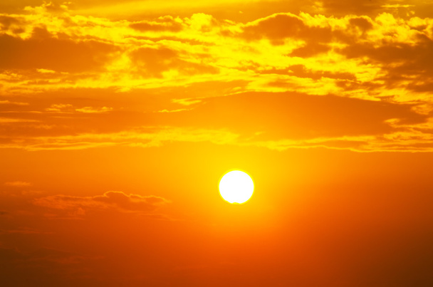Алый упадок и большое летнее солнце
 - Фото, изображение