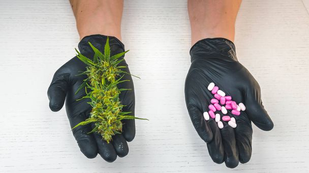 The person holds in his hand medical marijuana buds and pills. - Фото, изображение