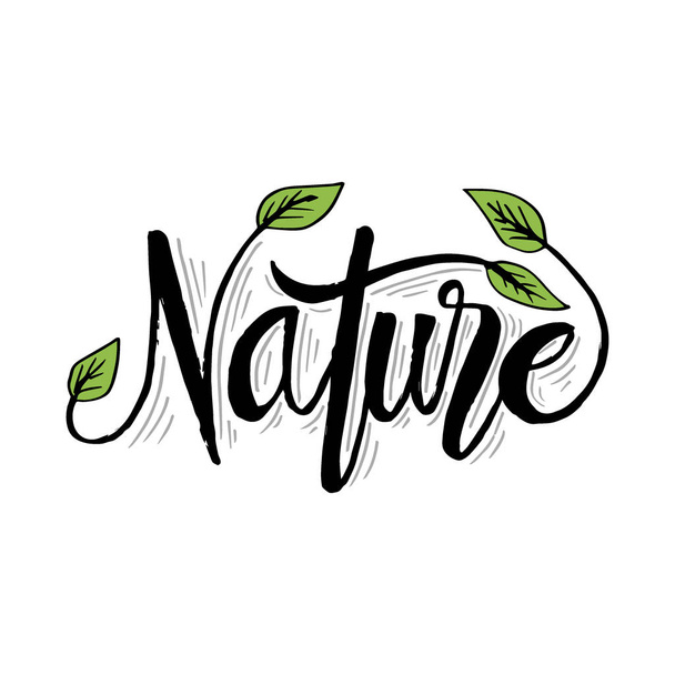 Natureza mão lettering caligrafia com folhas
 - Vetor, Imagem