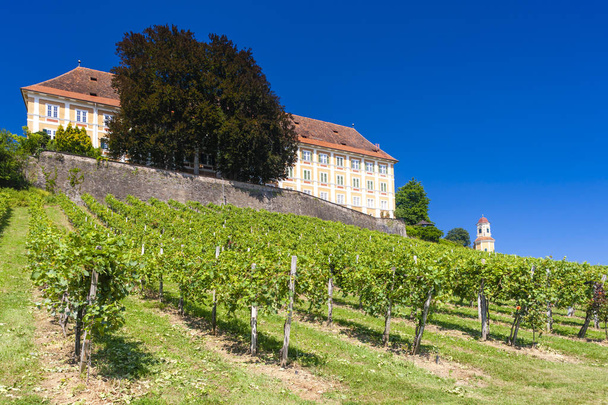 Замок Штайнц и виноградник, Штирия, Австрия - Фото, изображение