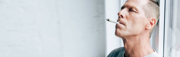 panoramic shot of man smoking blunt with medical cannabis - Fotoğraf, Görsel
