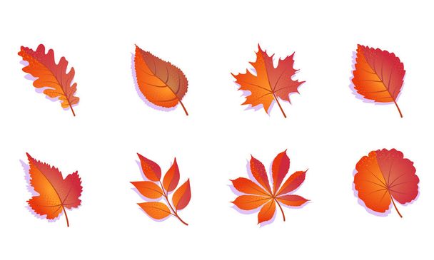 Autumn leaves set colorful. Isolated on white background. Simple cartoon flat leaves. Vector illustration. - Διάνυσμα, εικόνα