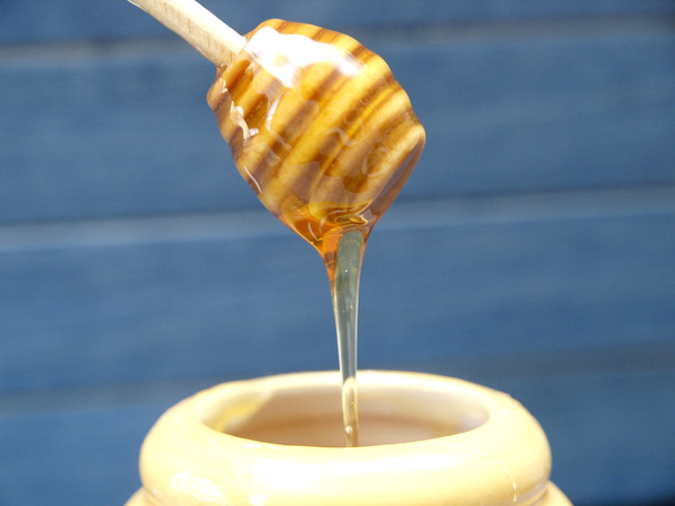Honey - Foto, afbeelding
