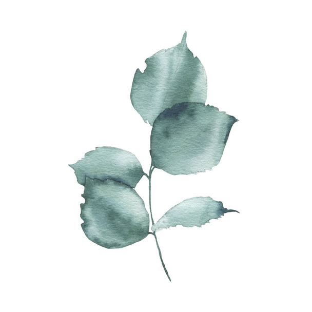 Watercolor greenery floral rose leaf plant forest - 写真・画像