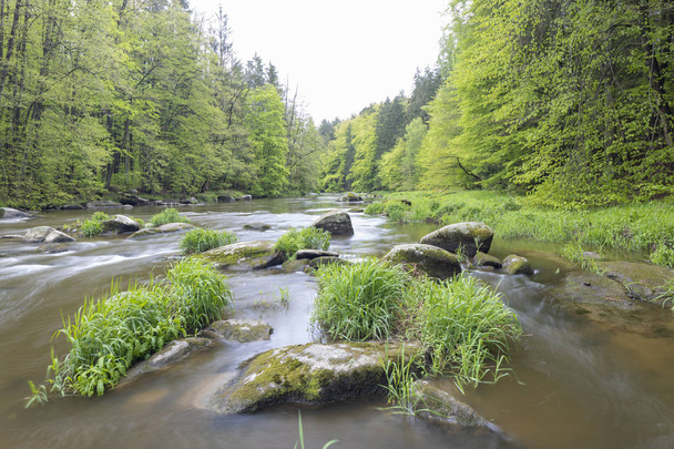 rivière Sazava près de Smrcna, République tchèque - Photo, image