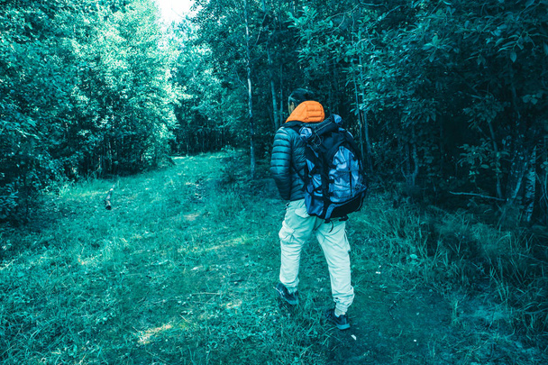 A man with a large tourist backpack traveling through the woods, ecotourism concept. - Photo, image