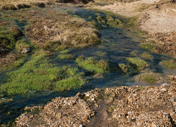 Zelená tráva v teplé vodě s tepelným pružinou - Fotografie, Obrázek