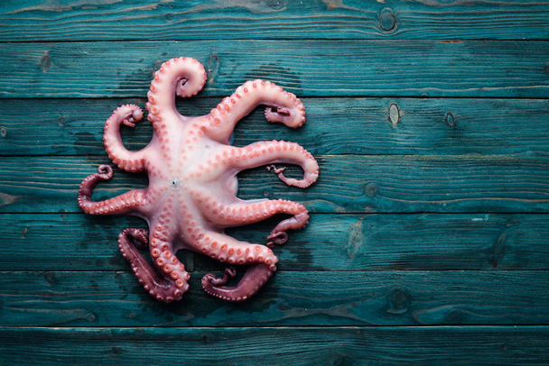 Raw octopus. On a blue wooden background. Top view. Free copy space. - Foto, afbeelding