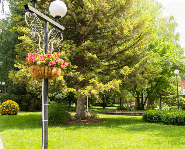 Традиционный городской фонарь с декоративной корзиной с красивыми цветами в парке на фоне зеленых деревьев в солнечный летний день
 - Фото, изображение