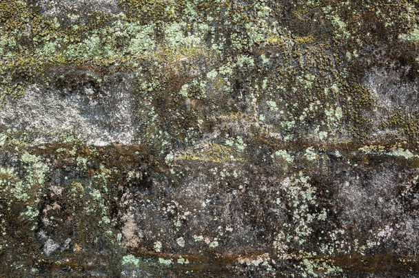 υγρασία παλαιωμένο τσιμέντο τοίχων τούβλων - Φωτογραφία, εικόνα
