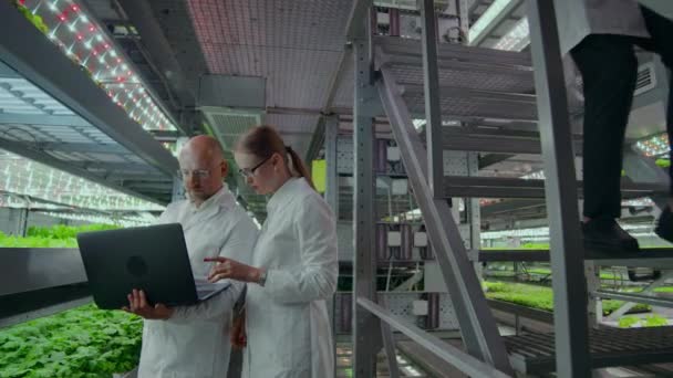 сучасна лабораторія мікробіології, два вчених з ноутбуком обговорюють результати досліджень генетично модифікованих продуктів
. - Кадри, відео