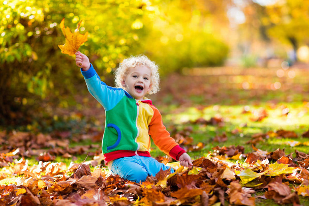 Child in fall park. Kid with autumn leaves. - Photo, Image
