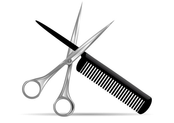 scissors and comb - Vector, Image