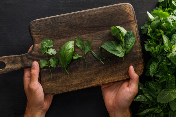 Cropped view of man holding brown wooden cutting board with basil, parsley, cilantro and peppermint leaves near bundles of greenery on white surface - Fotografie, Obrázek