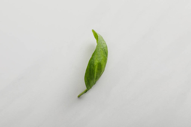 Top view of fresh basil leaf on white background - Foto, afbeelding
