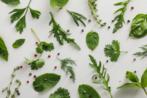 Top view of arugula, basil, cilantro, dill, parsley, rosemary and thyme twigs with peppercorns on white background - Photo, Image