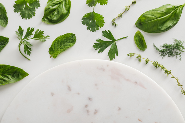 Top view of round marble surface near basil, peppermint, cilantro, dill and parsley leaves on white background - Photo, Image