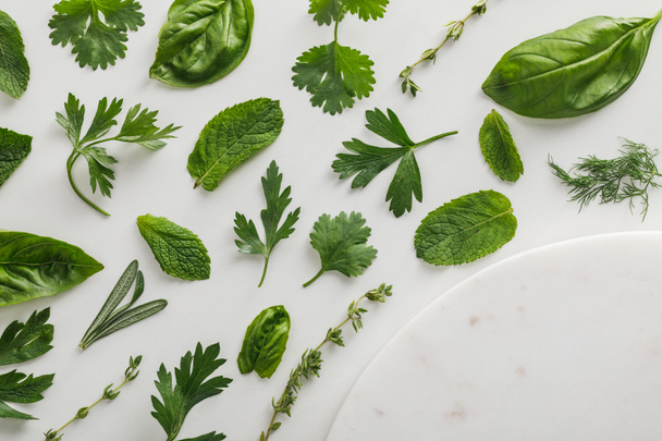 Top view of round marble surface near thyme, rosemary, basil, dill, peppermint, cilantro and parsley leaves on white background - Фото, изображение