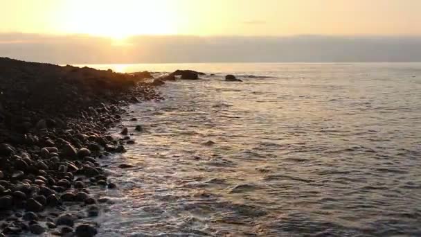 Sunrise on the sea shore - Záběry, video