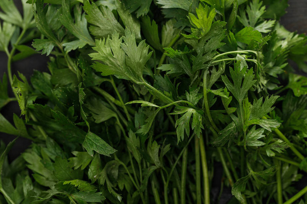 Close up view of fresh green cilantro bundle on dark surface - Foto, Imagen