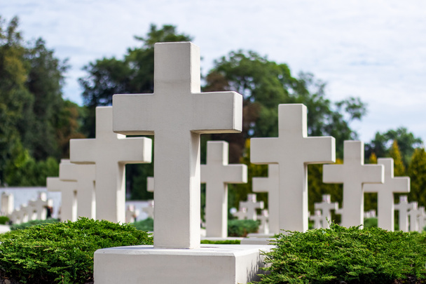 Πολλοί όμοιοι λευκοί σταυροί στο νεκροταφείο. - Φωτογραφία, εικόνα