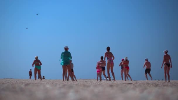 Μια ομάδα ανθρώπων που κάνουν γυμναστική στην παραλία. Αερόμπικ. Υγιεινός τρόπος ζωής, απώλεια βάρους. - Πλάνα, βίντεο