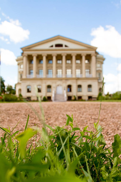 Pohled ze zelené trávy na rozmazaný palác nebo budovu proti modré obloze, selektivní zaměření - Fotografie, Obrázek