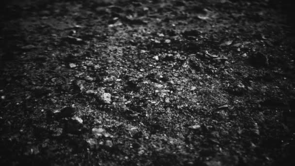 Αφηρημένο κοντινό πλάνο του υπόβαθρου της επιφάνειας της γης. σκόνη, ρωγμές και πέτρες - Πλάνα, βίντεο