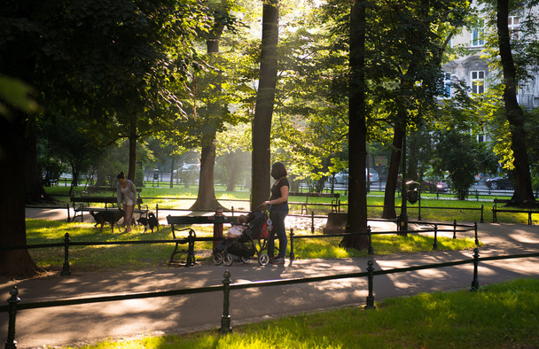 Parque verde de la ciudad
 - Foto, Imagen
