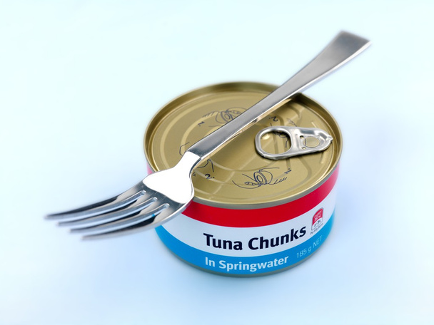 Generic Canned Tuna - Фото, изображение
